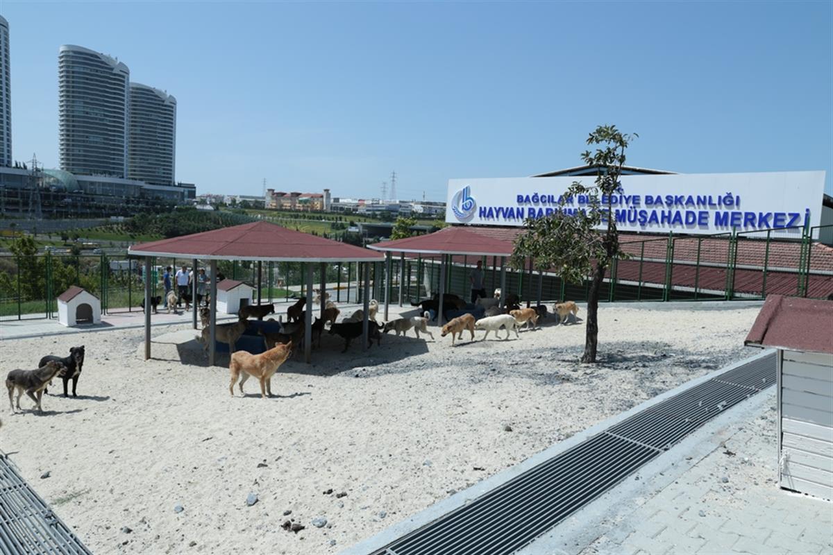 T C Bagcilar Belediyesi Resmi Web Sitesi 5 Yildizli Hayvan Barinagi