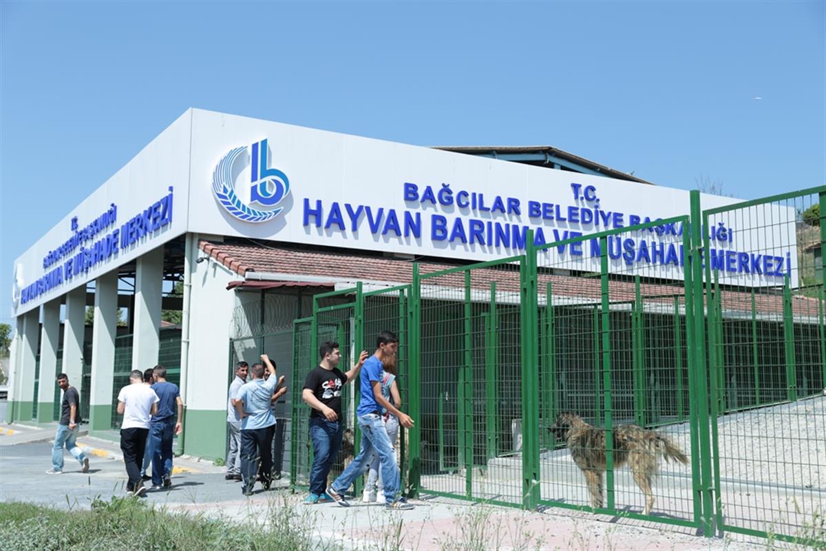 T C Bagcilar Belediyesi Resmi Web Sitesi 5 Yildizli Hayvan Barinagi