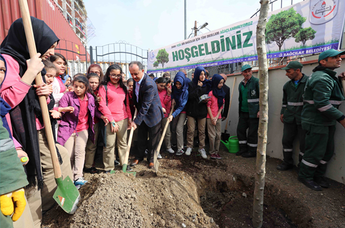 t c bagcilar belediyesi resmi mobil web sitesi bagcilar cinar agaclari ile donatiliyor