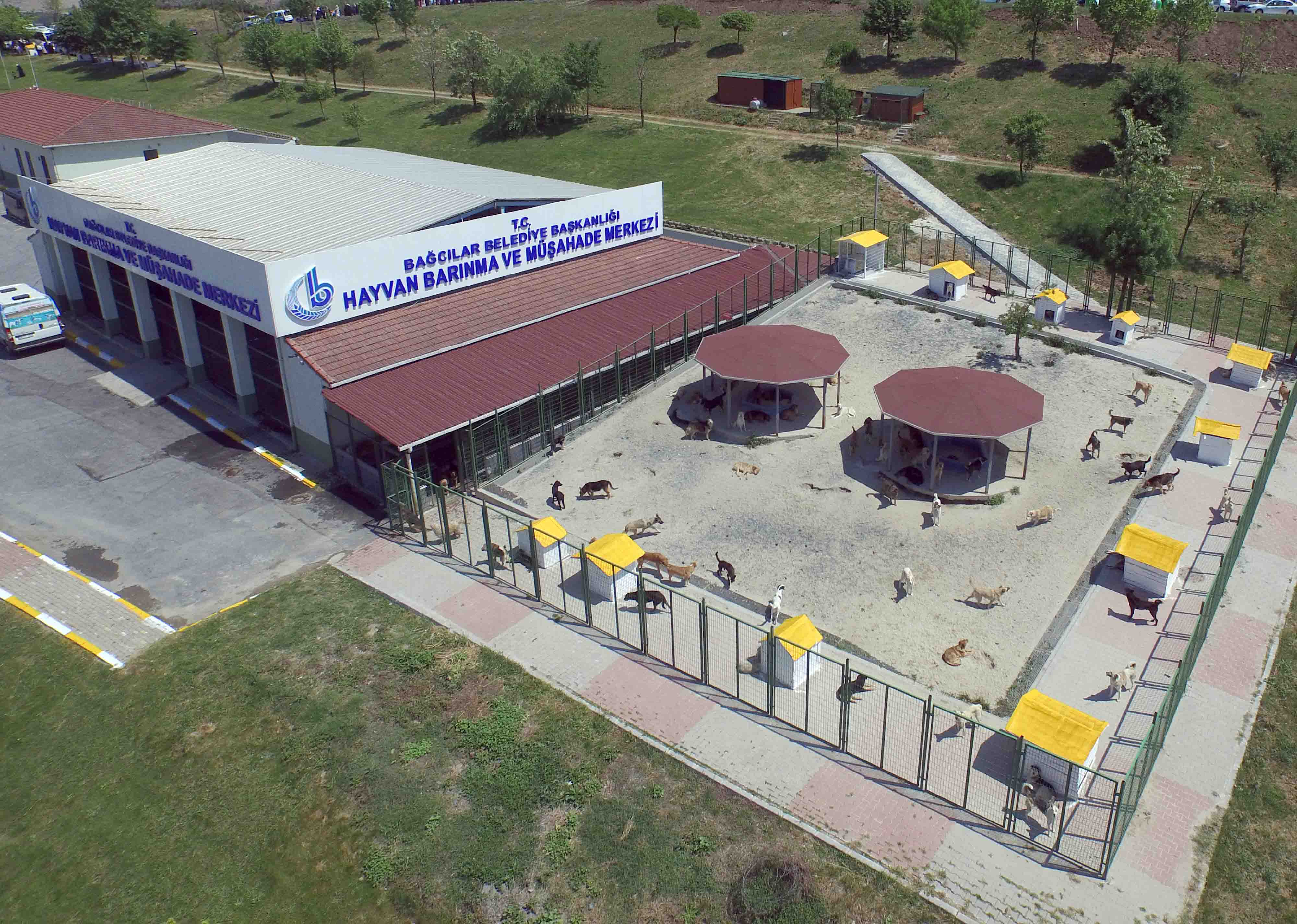 t c bagcilar belediyesi resmi mobil web sitesi bagcilar da sokak hayvanlari icin 5 yildizli hizmet veriliyor