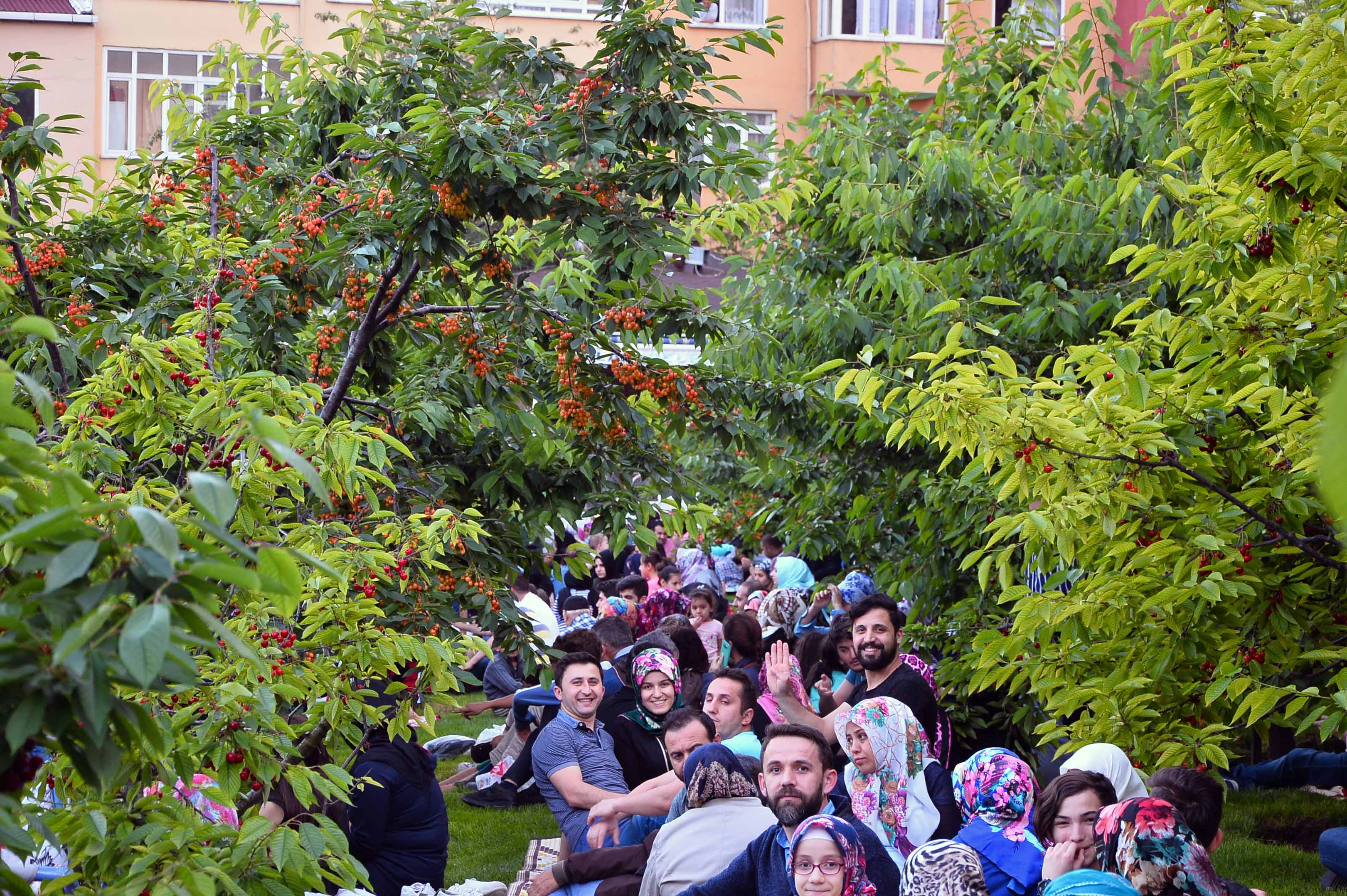 T C Bagcilar Belediyesi Resmi Mobil Web Sitesi Iftar Sofrasi Kiraz Bahcesi Nde Kuruldu