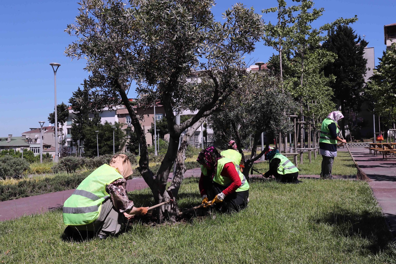 T C Bagcilar Belediyesi Resmi Mobil Web Sitesi Bagcilar Da Park Ve Bahcelere Kadin Eli Degdi