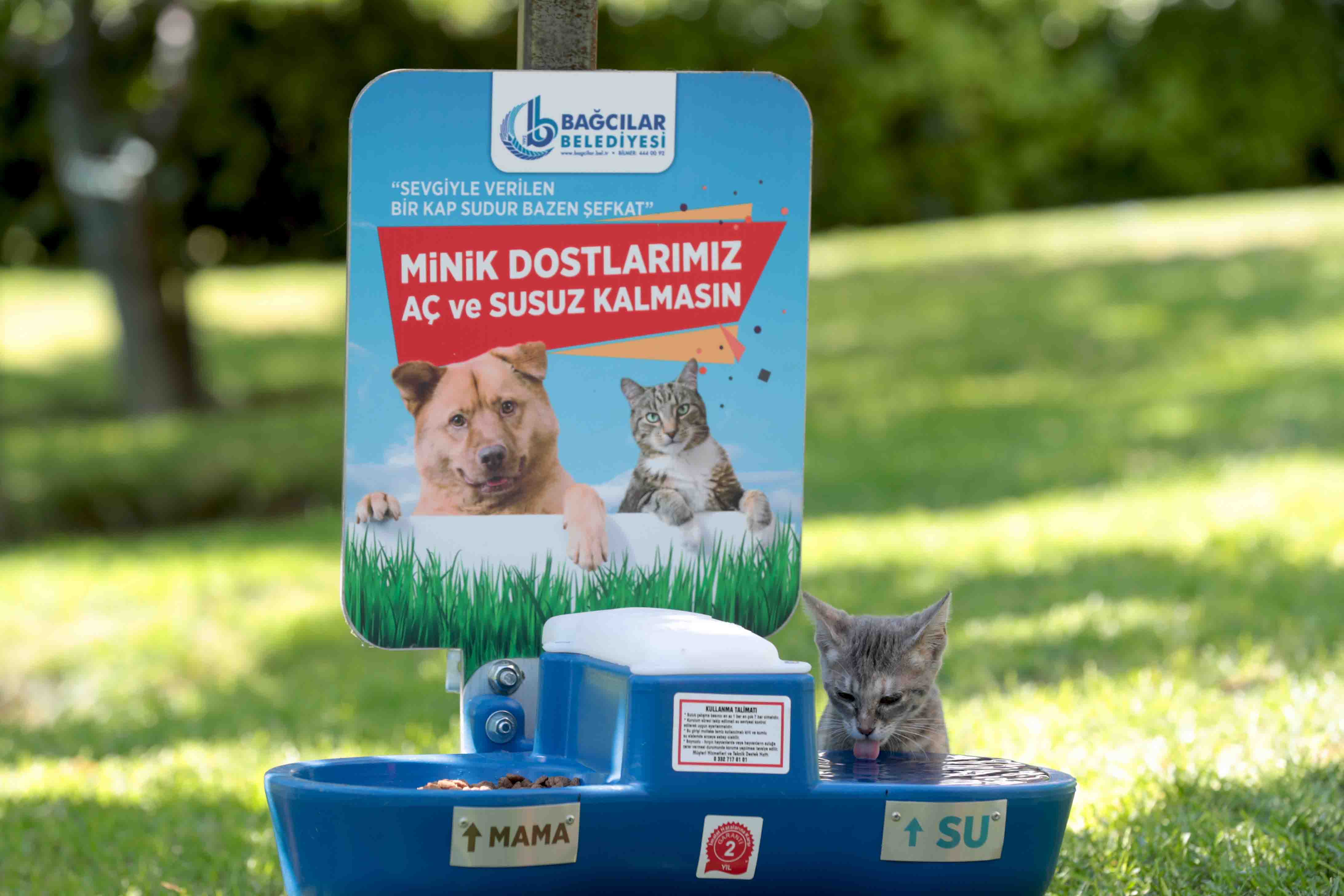 t c bagcilar belediyesi resmi web sitesi sokak hayvanlari icin su ve mama hizmeti
