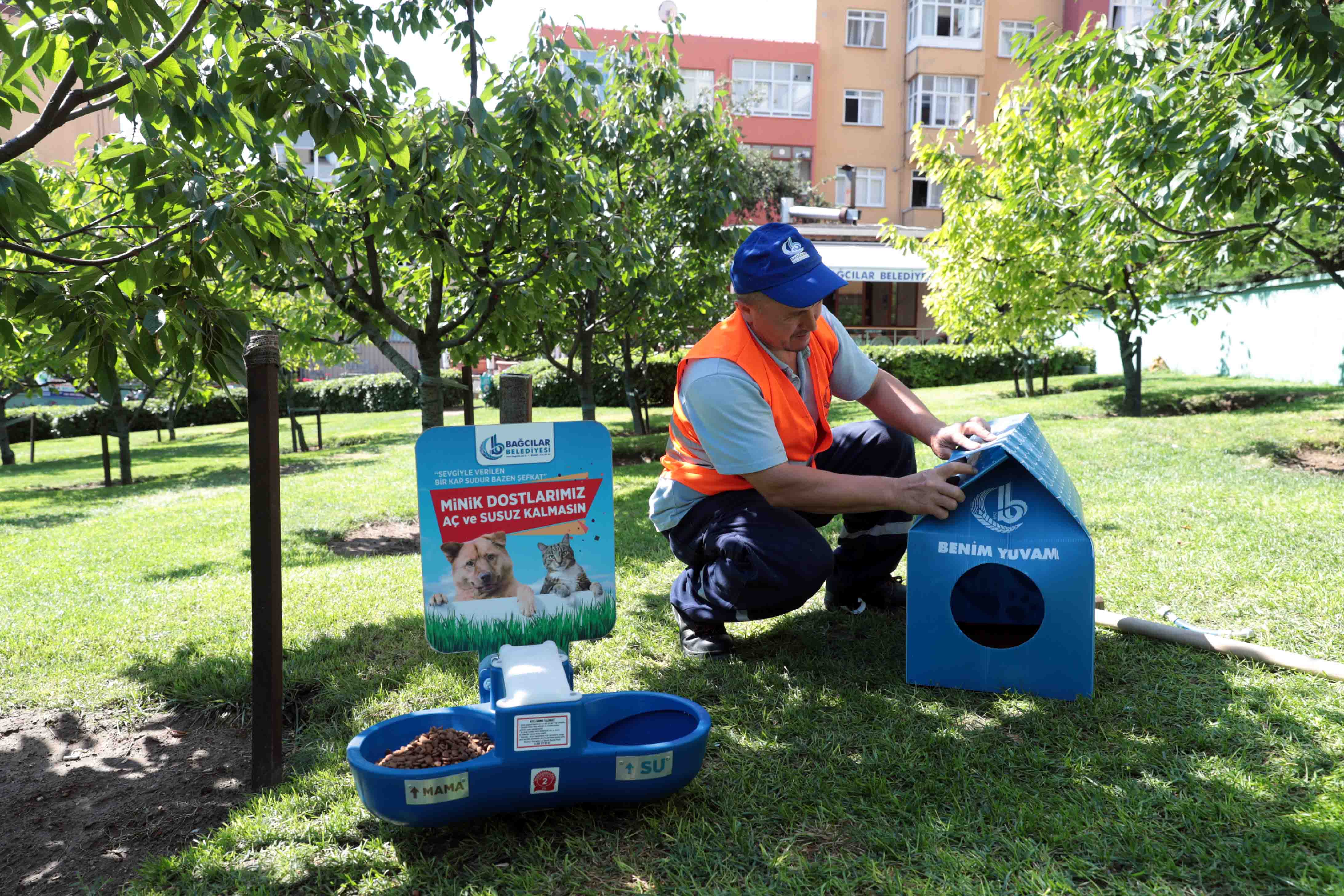 T C Bagcilar Belediyesi Resmi Mobil Web Sitesi Sokak Hayvanlari Icin Su Ve Mama Hizmeti